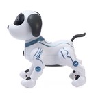 Робот-собака «Трюкач», радиоуправляемый, световые и звуковые эффекты, работает от батареек, цвет белый - Фото 2