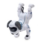 Робот-собака «Трюкач», радиоуправляемый, световые и звуковые эффекты, работает от батареек, цвет белый - Фото 4