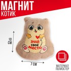 Мягкая игрушка-магнит «Знай своё место», кот, цвета МИКС 4605608 - фото 8931823