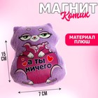 Мягкая игрушка-магнит «А ты ничего», кот, цвета МИКС - Фото 1