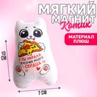 Мягкая игрушка-магнит «Ты украла кусочек моего сердца», кот, цвета МИКС 4605614 - фото 8931838