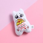 Мягкая игрушка-магнит «Ты украла кусочек моего сердца», кот, цвета МИКС - Фото 2