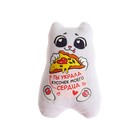 Мягкая игрушка-магнит «Ты украла кусочек моего сердца», кот, цвета МИКС - фото 24521575