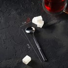 Ложка чайная из нержавеющей стали «Тайфун», h=15 см - фото 24232551