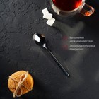 Ложка чайная из нержавеющей стали «Тайфун», h=15 см - Фото 6