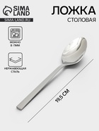 Ложка столовая «Тайфун», длина 19.5 см, нержавеющая сталь, серебристая - Фото 1