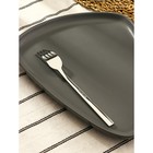 Вилка столовая «Тайфун», длина 20 см, нержавеющая сталь, серебристая - Фото 3