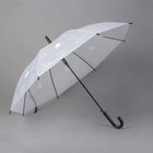 Детский зонт «Чёрно-белые кошки» 92 × 92 × 75,5 см, МИКС - фото 6267499