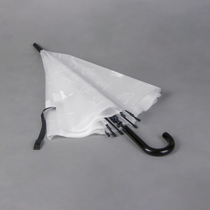 Детский зонт «Чёрно-белые кошки» 92 × 92 × 75,5 см, МИКС - фото 1883515477