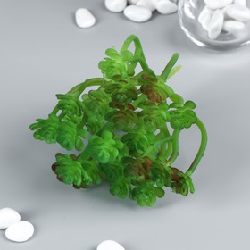 Искусственный суккулент для создания флорариума "Оскулярия зелёная" 12,5х12х10 см