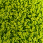 Декор для создания миниатюр (деревья, газон) порошок "Жёлто-зелёный" набор 20 гр - Фото 2