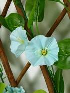 Ограждение декоративное «Цветы», 175×70 см, МИКС, Greengo - Фото 5