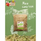 Мох сфагнум «Рецепты Дедушки Никиты» 10 л. - Фото 9