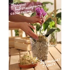 Мох сфагнум «Рецепты Дедушки Никиты» 5 л. - Фото 11