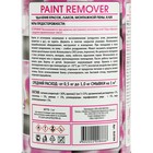 Смывка краски АГАТ Silverline, 1 кг - Фото 8