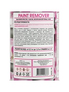 Смывка краски АГАТ Silverline, 1 кг - Фото 9