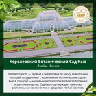 Шампунь Herbal Essences «Белый грейпфрут и мята», 400 мл - Фото 11