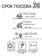 Семена Цветов Бегония крупноцветковая «Камелия», красная, 10 шт., «Дом семян» - Фото 2