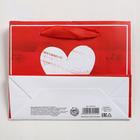 Пакет подарочный ламинированный, упаковка, Love, S 15×12×5.5 см 4479151