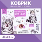 Коврик под миску «Кот не работает, кот ест!» 43х28 см - фото 20749338