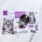 Коврик под миску «Кот не работает, кот ест!» 43×28 см - Фото 2