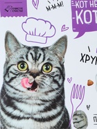 Коврик под миску «Кот не работает, кот ест!» 43×28 см - Фото 3