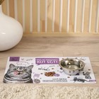 Коврик под миску «Кот не работает, кот ест!» 43×28 см - Фото 7