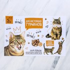 Коврик под миску «Для настоящих гурманов» 43×28 см - Фото 3