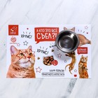 Коврик под миску «А кто это всё съел» 43х28 см - Фото 2