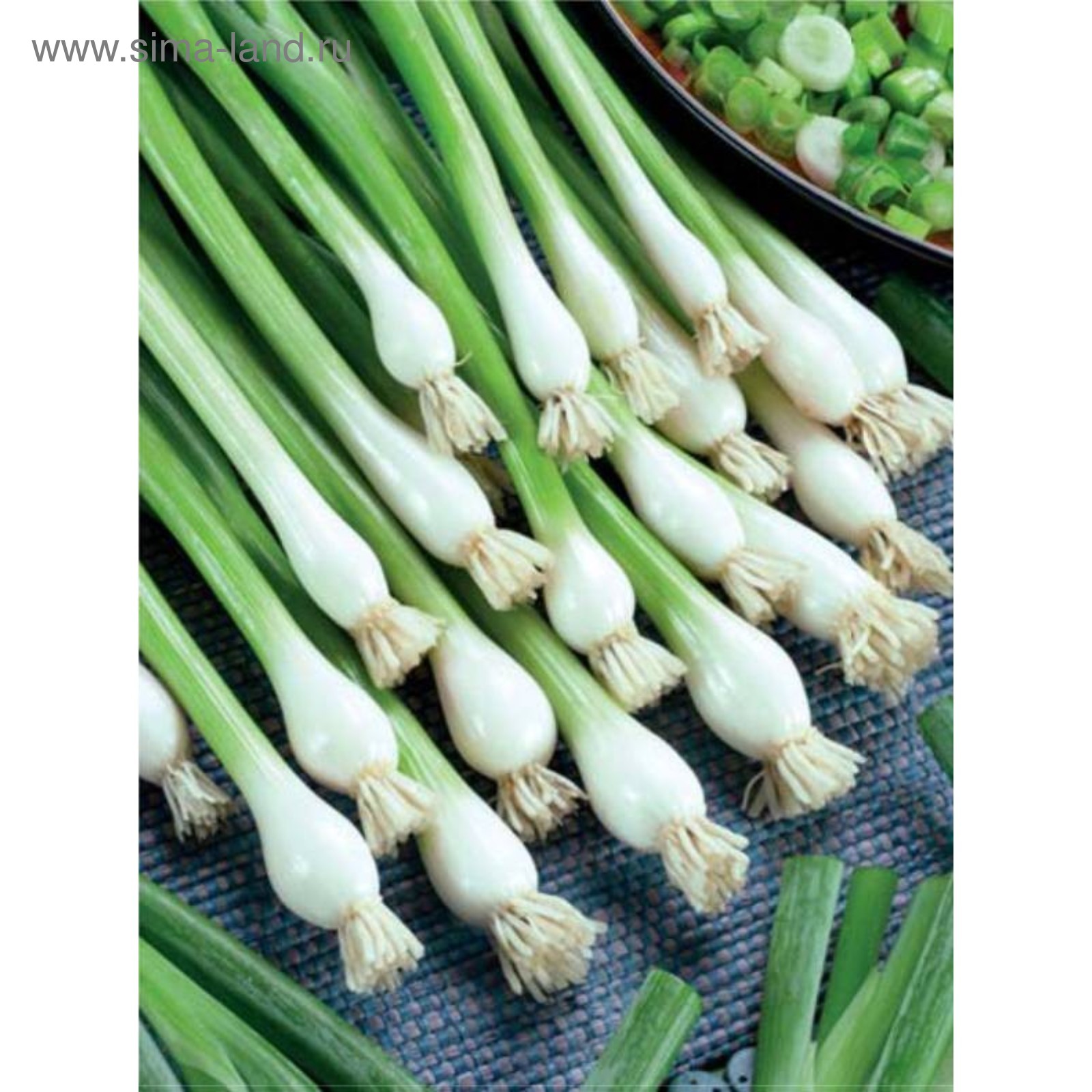 Семена Орешка Лук репчатый Кармен 50 шт. - купить в интернет-магазине по низкой