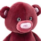 Мягкая игрушка «Медвежонок», цвет бордовый, 22 см - Фото 4