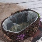 Кашпо плетёное овальное «Пробуждение», 22×15×9 см - Фото 3