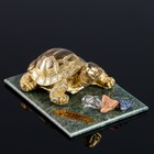 Сувенир "Черепаха", 7х10х4 см, змеевик, гипс, минералы - фото 8934125