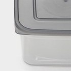 Контейнер пищевой Альтернатива «Ассорти», 1 л, пластик, прозрачный, крышка МИКС - Фото 3