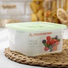 Контейнер пищевой Альтернатива «Ассорти», 1 л, пластик, прозрачный, крышка МИКС - Фото 7