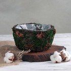 Кашпо плетёное круглое «Лесная сказка», 18×18×9 см - Фото 1