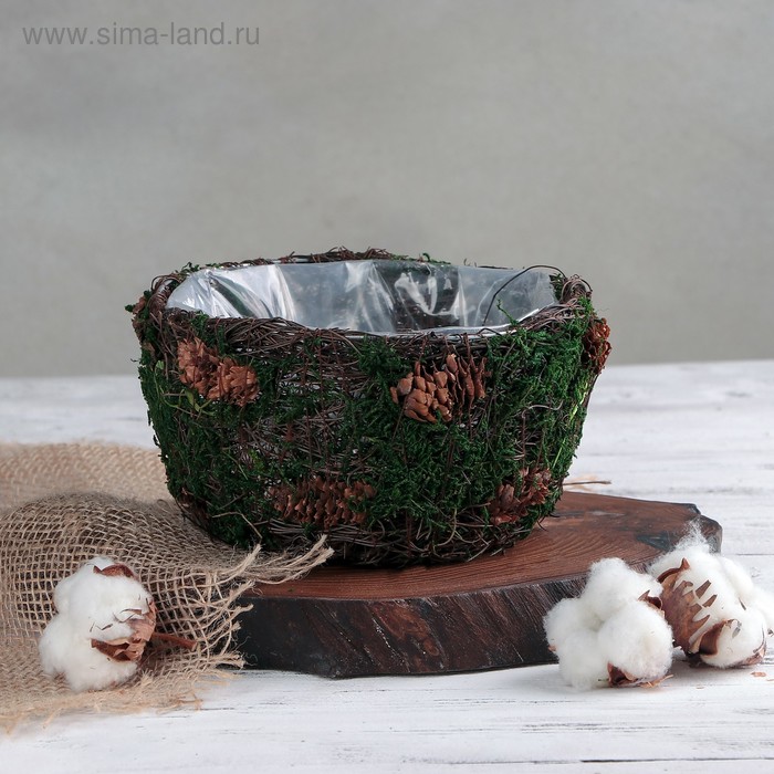 Кашпо плетёное круглое «Лесная сказка», 18×18×9 см - Фото 1