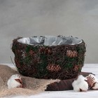 Кашпо плетёное круглое «Лесная сказка», 20×20×10 см - Фото 1