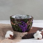 Кашпо плетёное круглое «Пробуждение», 13×13×8 см - Фото 1