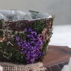 Кашпо плетёное круглое «Пробуждение», 13×13×8 см - Фото 2