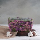 Кашпо плетёное прямоугольное «Фея», 20,5×14×10,5 см - Фото 1