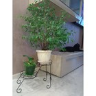 Подставка под цветы Мелодия, 370x200x310,черный - Фото 2