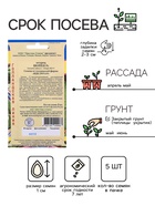 Семена Огурец "Шопен" F1,5 шт - Фото 2