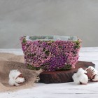 Кашпо плетёное прямоугольное «Фея», 13×13×8 см - Фото 1