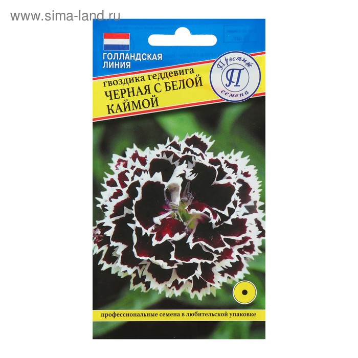 Семена цветов Гвоздика "Черная с белой каймой", 15 шт - Фото 1