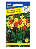 Семена цветов Канна индийская «Большие цветы», 3 шт. - Фото 1