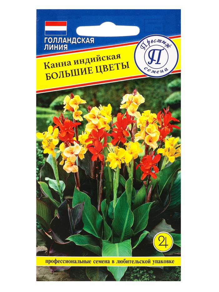Семена цветов Канна индийская «Большие цветы», 3 шт. - Фото 1