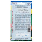 Семена цветов Канна индийская «Большие цветы», 3 шт. - Фото 2