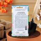 Семена цветов Канна индийская «Большие цветы», 3 шт. - Фото 4