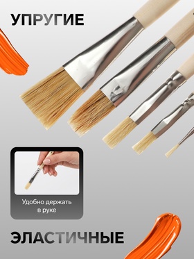 Набор кистей для рисования, щетина, 5 штук: №: 2, 6, 10, 16, 24, Calligrata, плоские, деревянная ручка, в пакете (комплект 2 шт)